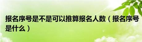 报名序号是不是可以推算报名人数（报名序号是什么）