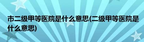 市二级甲等医院是什么意思(二级甲等医院是什么意思)