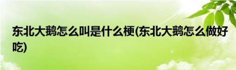 东北大鹅怎么叫是什么梗(东北大鹅怎么做好吃)