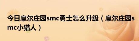 今日摩尔庄园smc勇士怎么升级（摩尔庄园smc小猎人）