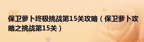 保卫萝卜终极挑战第15关攻略（保卫萝卜攻略之挑战第15关）