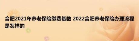 合肥2021年养老保险缴费基数 2022合肥养老保险办理流程是怎样的 