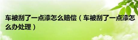 车被刮了一点漆怎么赔偿（车被刮了一点漆怎么办处理）