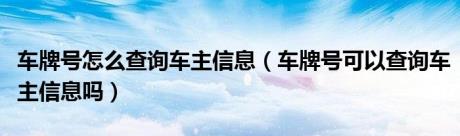 车牌号怎么查询车主信息（车牌号可以查询车主信息吗）