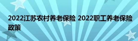 2022江苏农村养老保险 2022职工养老保险政策 