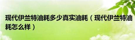 现代伊兰特油耗多少真实油耗（现代伊兰特油耗怎么样）