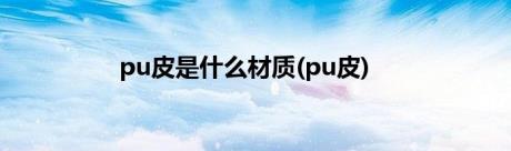 pu皮是什么材质(pu皮)