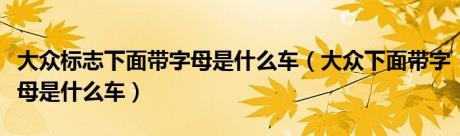 大众标志下面带字母是什么车（大众下面带字母是什么车）