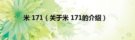 米 171（关于米 171的介绍）