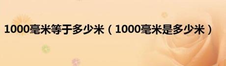 1000毫米等于多少米（1000毫米是多少米）