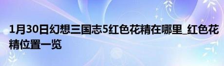 1月30日幻想三国志5红色花精在哪里_红色花精位置一览