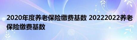 2020年度养老保险缴费基数 20222022养老保险缴费基数 