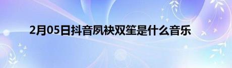 2月05日抖音夙袂双笙是什么音乐