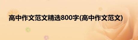 高中作文范文精选800字(高中作文范文)