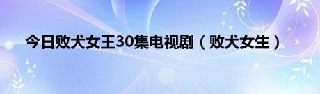 今日败犬女王30集电视剧（败犬女生）