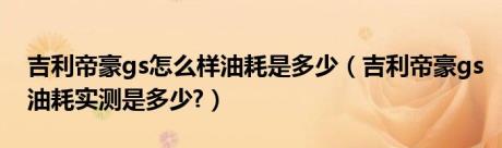 吉利帝豪gs怎么样油耗是多少（吉利帝豪gs油耗实测是多少?）