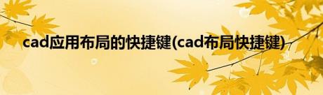 cad应用布局的快捷键(cad布局快捷键)