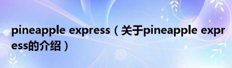 pineapple express（关于pineapple express的介绍）