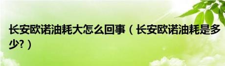 长安欧诺油耗大怎么回事（长安欧诺油耗是多少?）