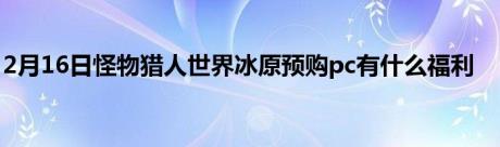 2月16日怪物猎人世界冰原预购pc有什么福利