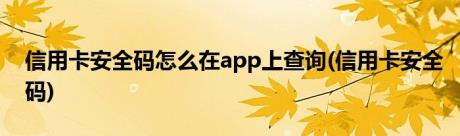 信用卡安全码怎么在app上查询(信用卡安全码)