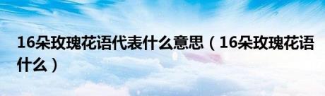 16朵玫瑰花语代表什么意思（16朵玫瑰花语什么）