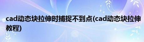 cad动态块拉伸时捕捉不到点(cad动态块拉伸教程)