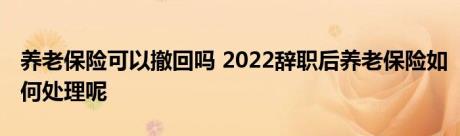 养老保险可以撤回吗 2022辞职后养老保险如何处理呢 