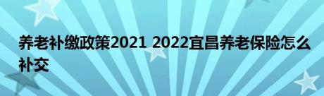 养老补缴政策2021 2022宜昌养老保险怎么补交 