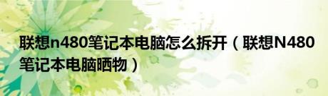 联想n480笔记本电脑怎么拆开（联想N480笔记本电脑晒物）