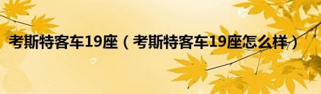 考斯特客车19座（考斯特客车19座怎么样）