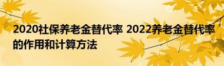 2020社保养老金替代率 2022养老金替代率的作用和计算方法 