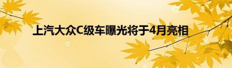 上汽大众C级车曝光将于4月亮相