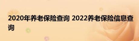 2020年养老保险查询 2022养老保险信息查询 