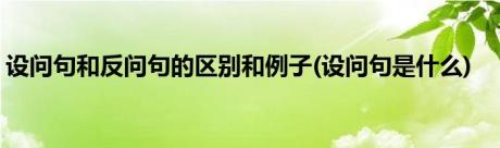 设问句和反问句的区别和例子(设问句是什么)