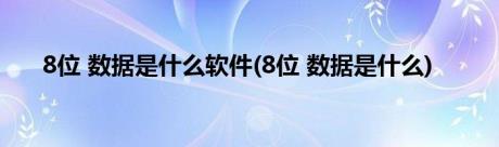 8位 数据是什么软件(8位 数据是什么)