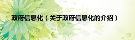 政府信息化（关于政府信息化的介绍）