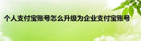 个人支付宝账号怎么升级为企业支付宝账号