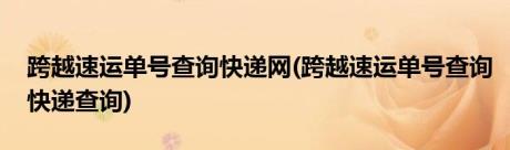 跨越速运单号查询快递网(跨越速运单号查询快递查询)