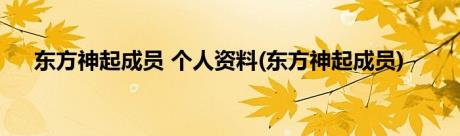 东方神起成员 个人资料(东方神起成员)