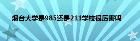 烟台大学是985还是211学校很厉害吗