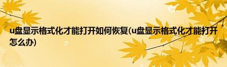 u盘显示格式化才能打开如何恢复(u盘显示格式化才能打开怎么办)