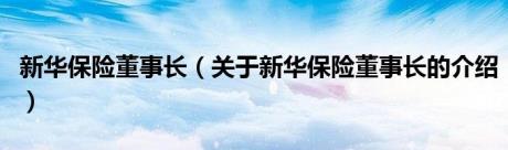 新华保险董事长（关于新华保险董事长的介绍）