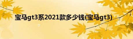 宝马gt3系2021款多少钱(宝马gt3)