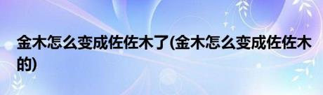 金木怎么变成佐佐木了(金木怎么变成佐佐木的)