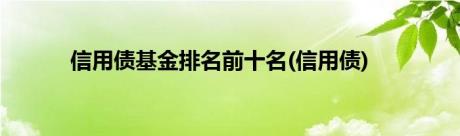 信用债基金排名前十名(信用债)