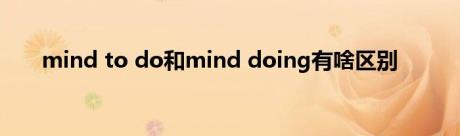 mind to do和mind doing有啥区别