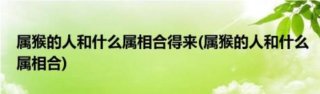 属猴的人和什么属相合得来(属猴的人和什么属相合)