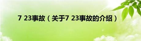 7 23事故（关于7 23事故的介绍）