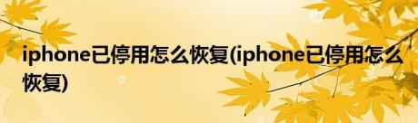 iphone已停用怎么恢复(iphone已停用怎么恢复)